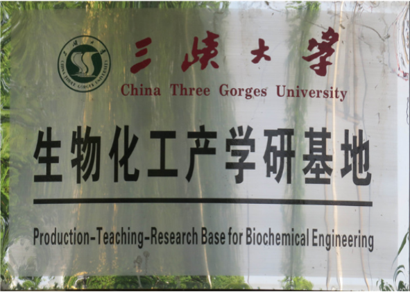 Three Gorges University Industrial Base